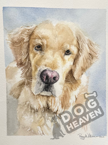 Dog Heaven™ Pet Portraits